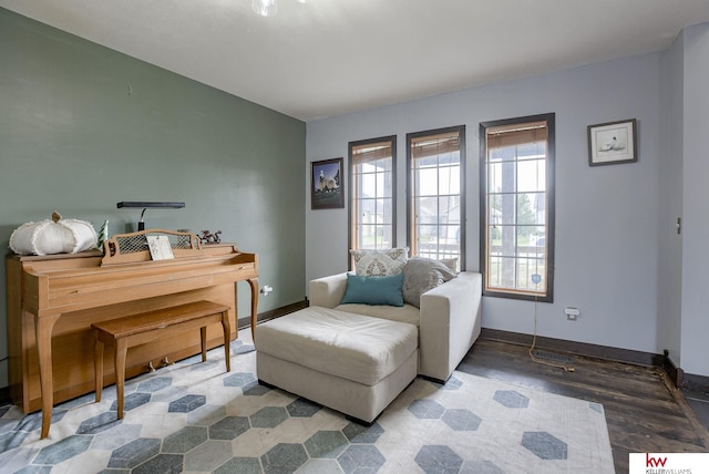 sitting room featuring hardwood / wood-style floors