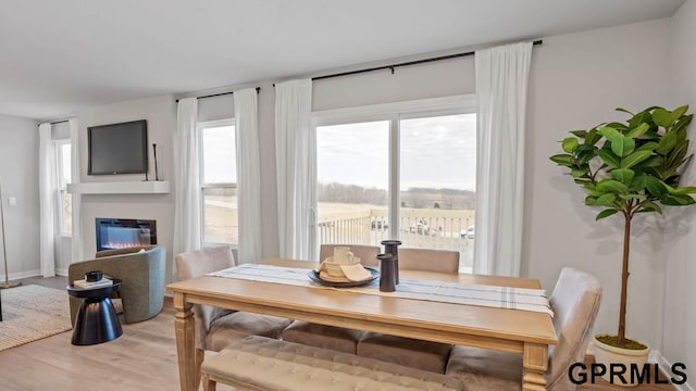 dining space with hardwood / wood-style flooring