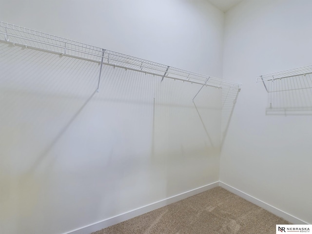 spacious closet with carpet flooring