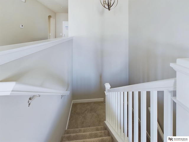 stairs featuring carpet flooring