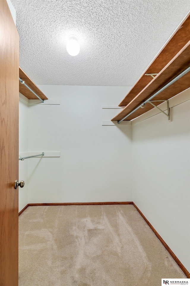 walk in closet with light carpet