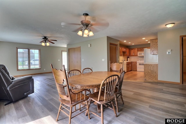 dining space with ceiling fan and light hardwood / wood-style flooring