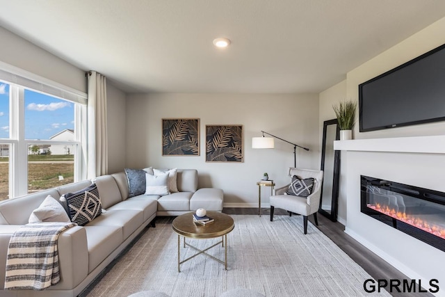 living room with hardwood / wood-style flooring