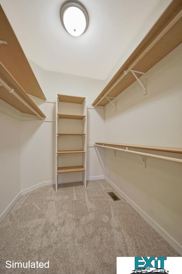 spacious closet with light carpet