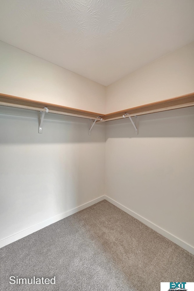 spacious closet featuring carpet flooring