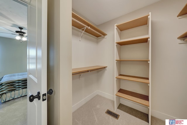 walk in closet with ceiling fan and light colored carpet