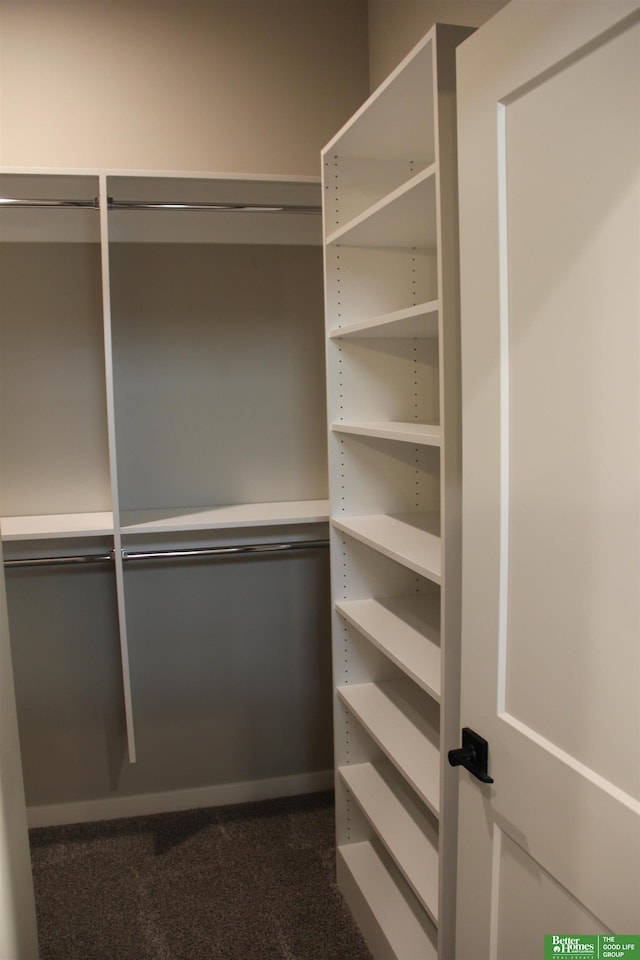 spacious closet featuring dark colored carpet