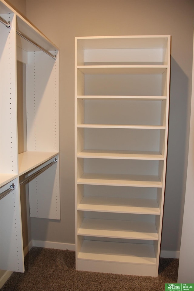 spacious closet with dark colored carpet