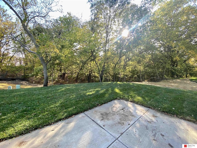 view of yard featuring a patio