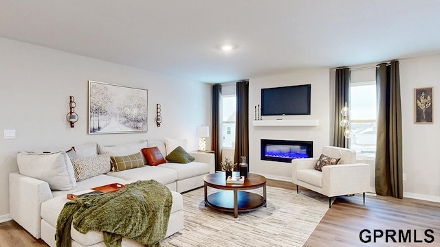 living room with hardwood / wood-style flooring and a wealth of natural light