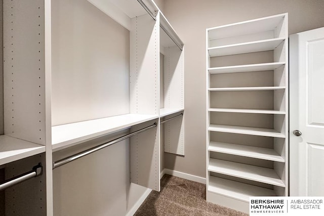 walk in closet featuring carpet floors