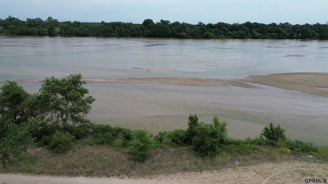 water view featuring a wooded view