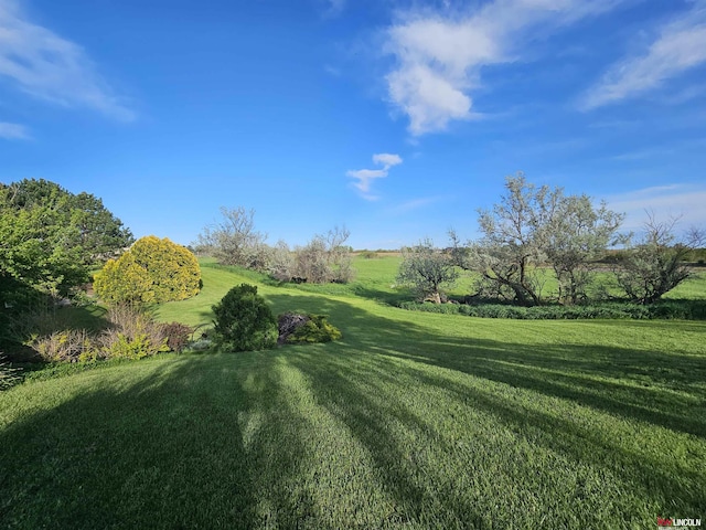 view of yard with a rural view