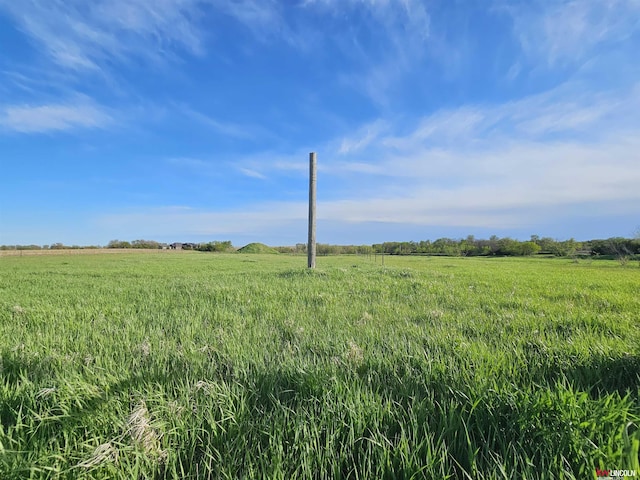 view of local wilderness with a rural view