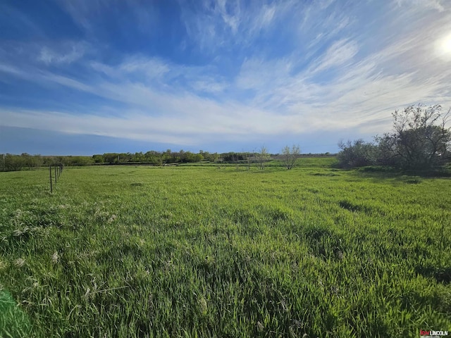 view of local wilderness with a rural view