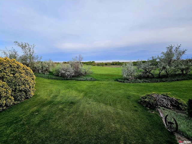 view of yard featuring a rural view