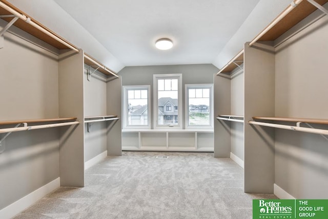 19058 Camelback Cir, Gretna, NE 68136 - spacious closet featuring light colored carpet and lofted ceiling