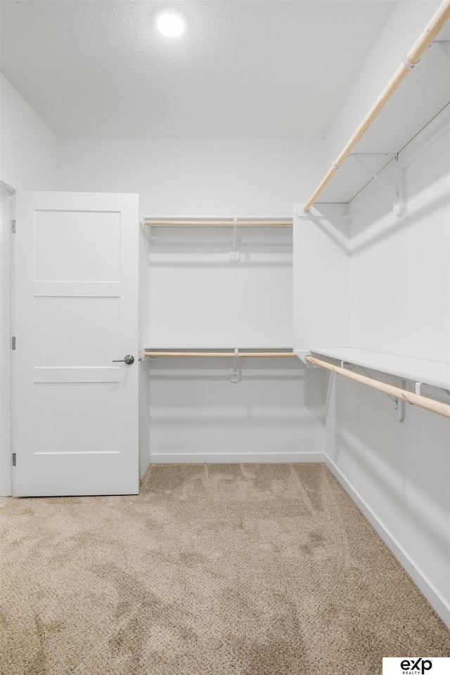 walk in closet featuring light carpet