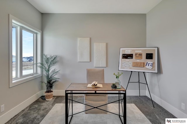 carpeted home office featuring a healthy amount of sunlight