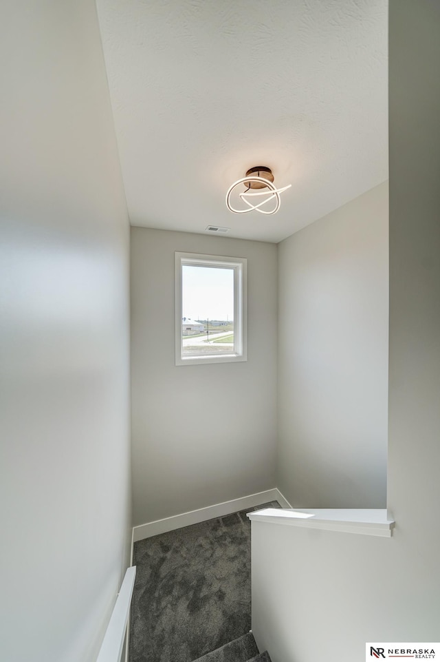 stairway featuring carpet floors