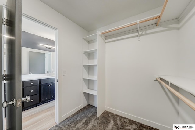 spacious closet featuring light carpet and sink