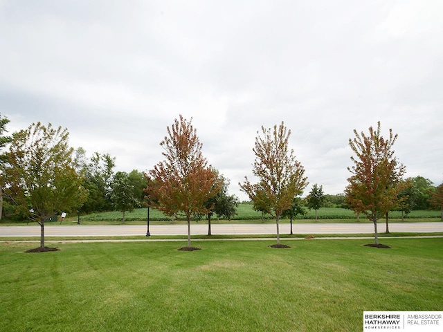 view of community featuring a yard