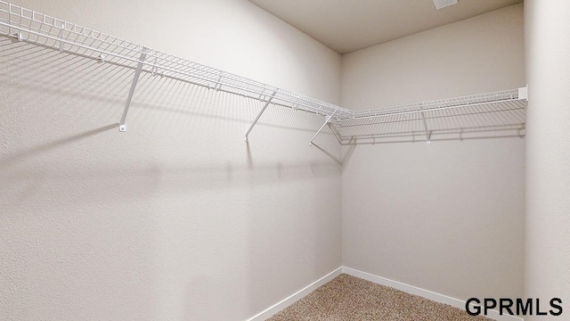 walk in closet with carpet