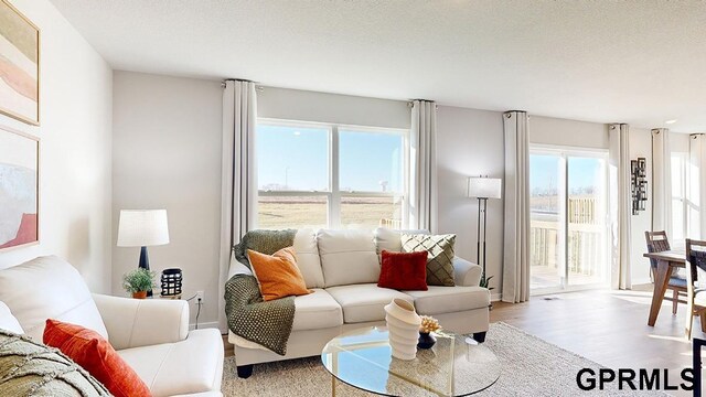 living room featuring light hardwood / wood-style floors, a textured ceiling, and plenty of natural light