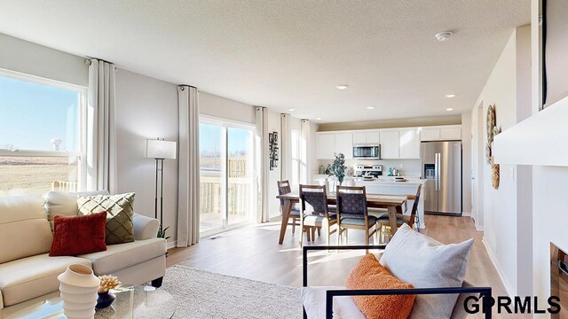 living room featuring plenty of natural light, a textured ceiling, and light hardwood / wood-style floors