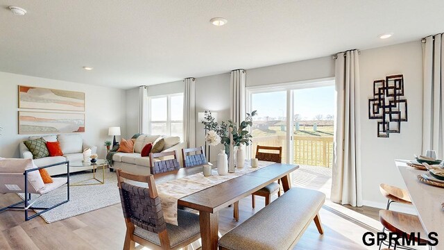 dining area with a wealth of natural light and light wood-type flooring