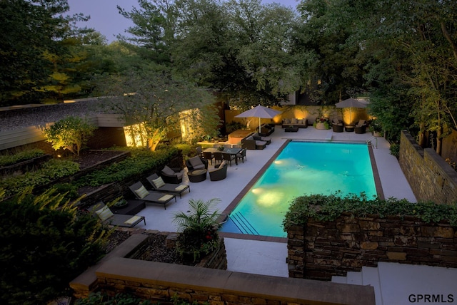 view of pool with a patio