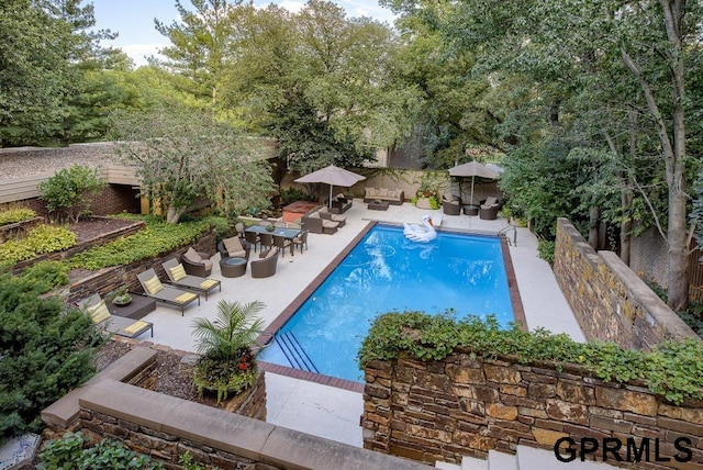 view of pool featuring a patio area