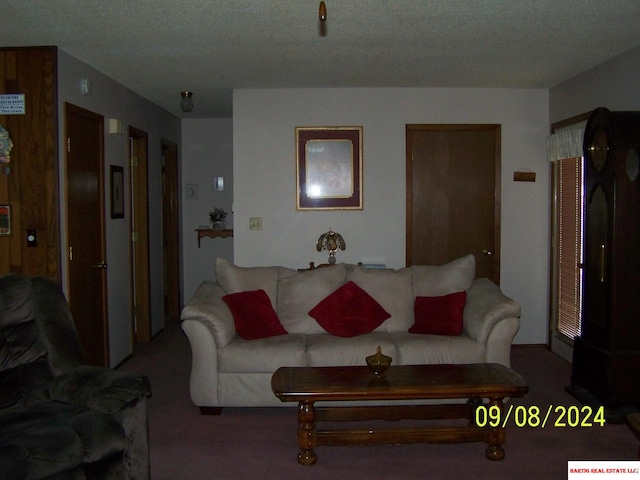 carpeted living room featuring a textured ceiling