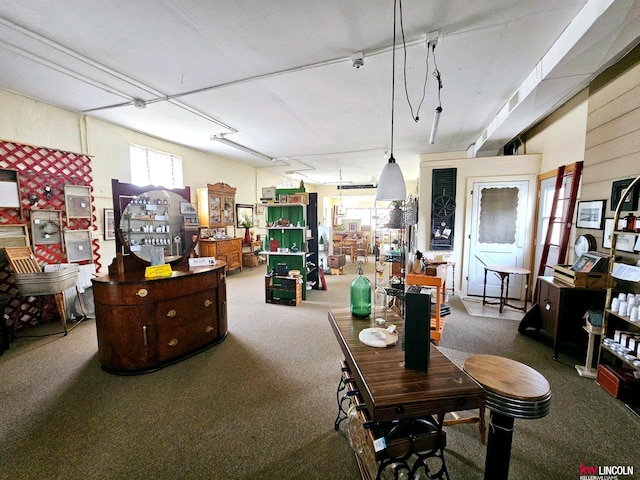 interior space with carpet