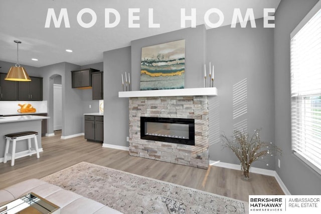 living room featuring a fireplace and light hardwood / wood-style flooring