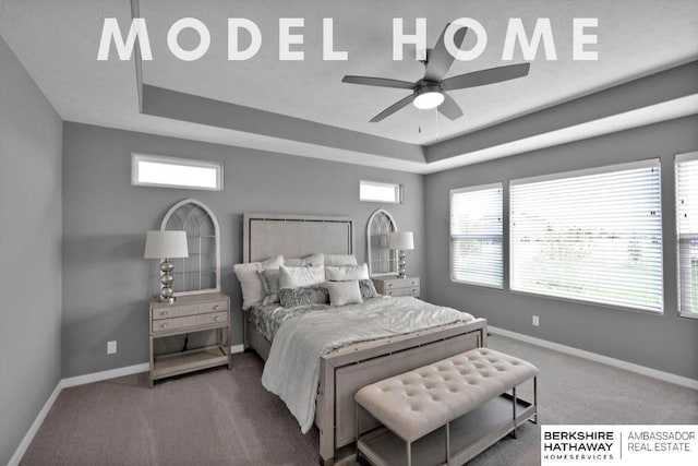 bedroom featuring multiple windows, carpet, and a tray ceiling