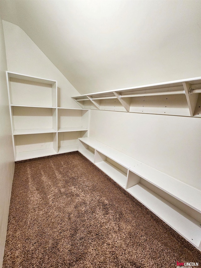 spacious closet featuring carpet flooring