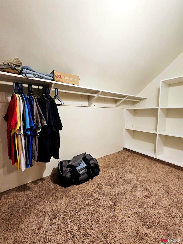 walk in closet featuring carpet