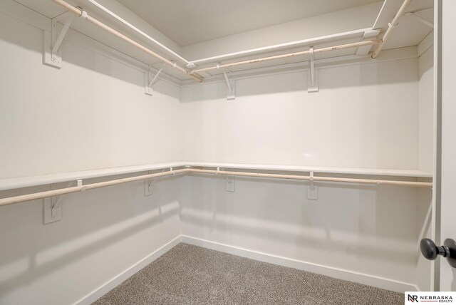 walk in closet with carpet