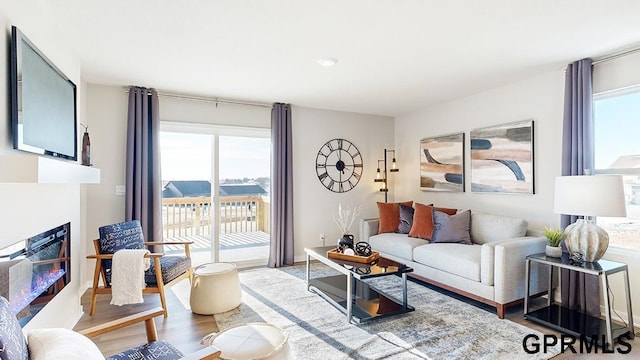 living room featuring hardwood / wood-style floors