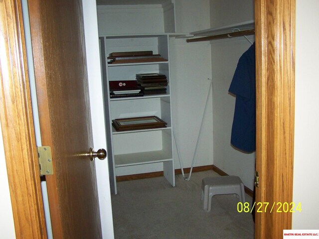 spacious closet with carpet