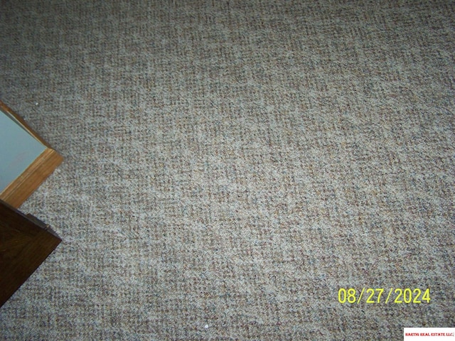 room details featuring carpet