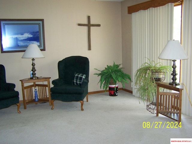 living area featuring carpet flooring