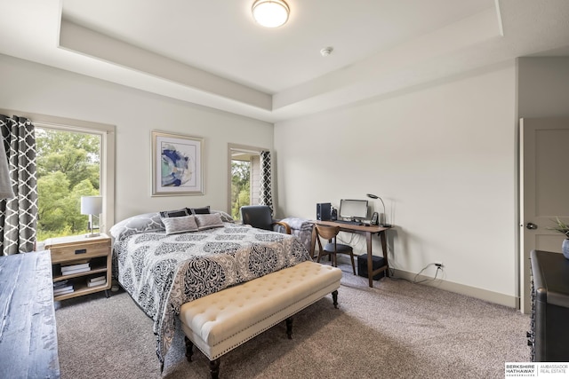 bedroom featuring a tray ceiling, carpet floors, and multiple windows