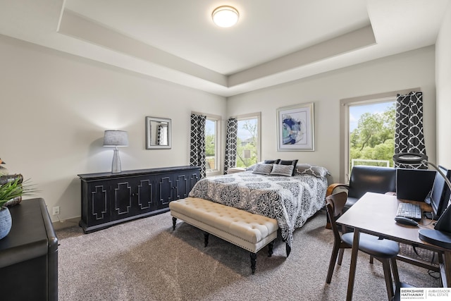 carpeted bedroom with a tray ceiling and multiple windows