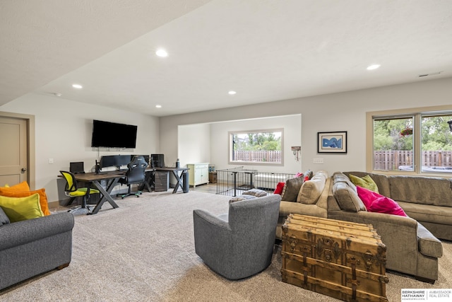 carpeted living room with a healthy amount of sunlight