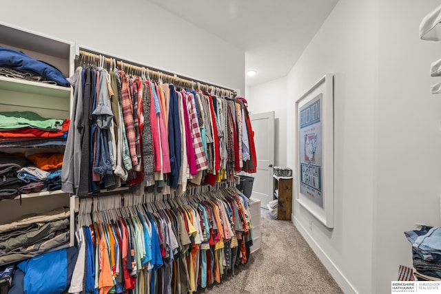 walk in closet featuring carpet flooring