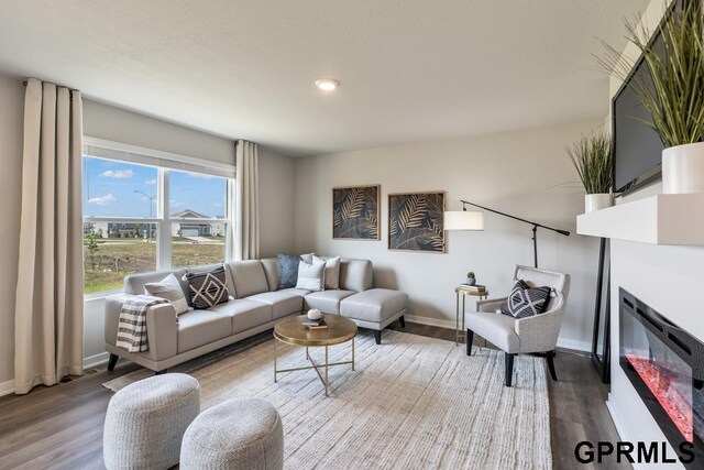 living room featuring hardwood / wood-style flooring