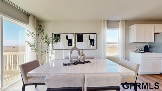 dining room featuring light hardwood / wood-style flooring and a healthy amount of sunlight