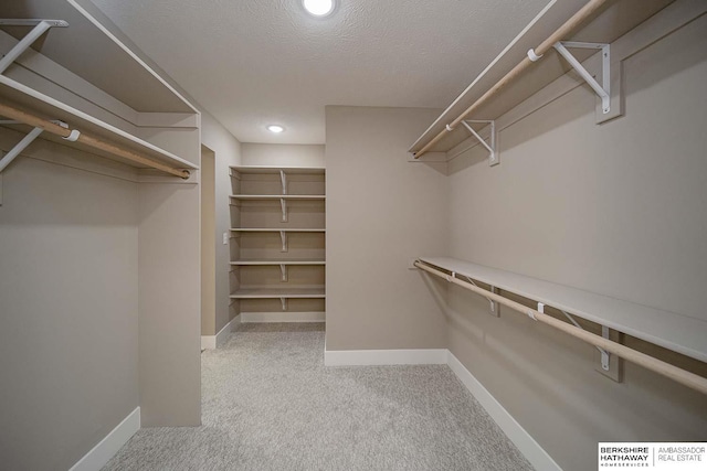 spacious closet with carpet flooring